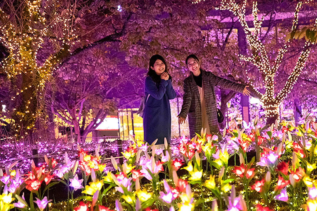 Spf 6 さがみ湖イルミリオン Webチケット 富士急トラベル株式会社 Spf 6 さがみ湖イルミリオン Webチケット 富士急トラベル株式会社